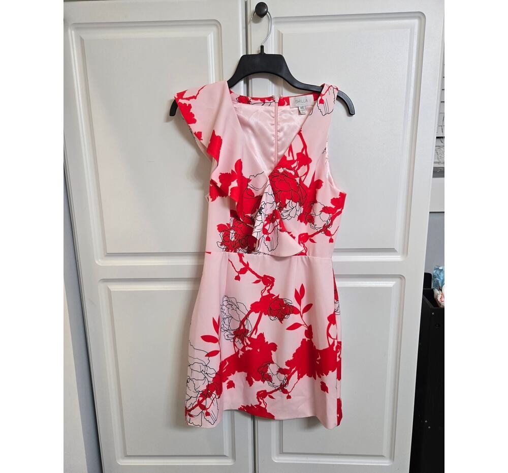 Shilla Pink and Red Floral Dress Size XS